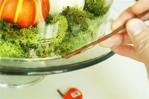 Куполообразная тыквенная нашивка своими руками Куполообразная тыквенная нашивка своими руками