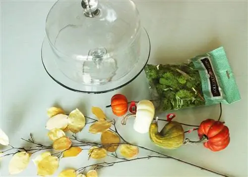 Куполообразная тыквенная нашивка своими руками Куполообразная тыквенная нашивка своими руками