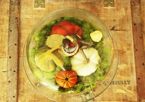 Куполообразная тыквенная нашивка своими руками Куполообразная тыквенная нашивка своими руками