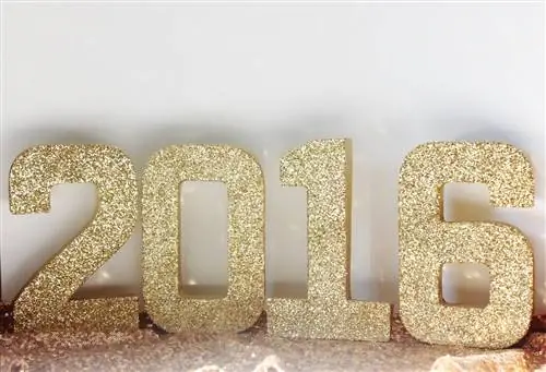 2016 Блестящий новогодний номер 2016 Блестящий новогодний номер