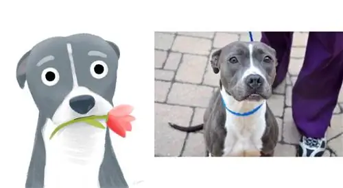 PUP ART: A Show For Fluffy Singles от Bark & Co
