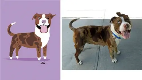 PUP ART: Шоу для пушистых одиночек от Bark & Co.