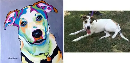 PUP ART: Шоу для пушистых одиночек от Bark & Co.