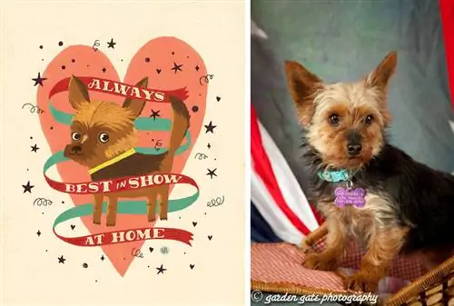 PUP ART: Шоу для пушистых одиночек от Bark & Co.