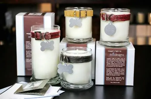 Обсуждение памятников домашним животным с Кэти Кул из Nelli Designs Обсуждение памятников домашним животным с Кэти Кул из Nelli Designs