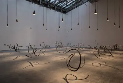Дамиан Ортега, Урожай, 2013
