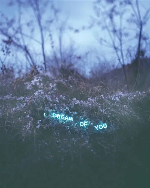 Чон Ли, «Я мечтаю о тебе», 2012 г.