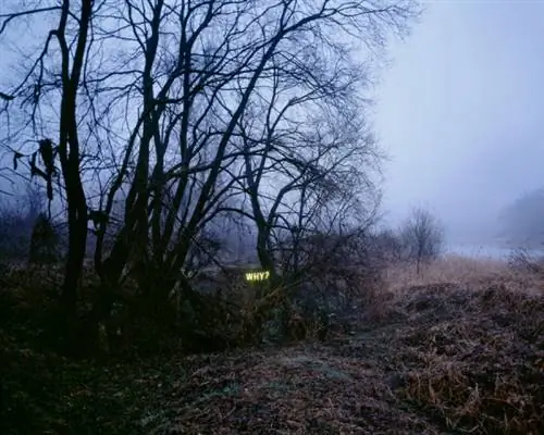 Юнг Ли, Почему2, 2010 г.