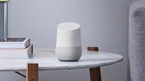 google-home.hub google-home.hub