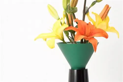 Изображение Изображение