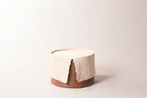 Дающий-стул-Дэ-Ким-4