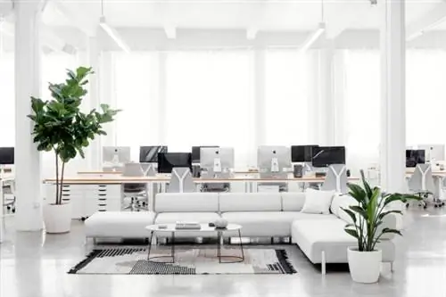 Everlane_Hadquarters_Showroom-21