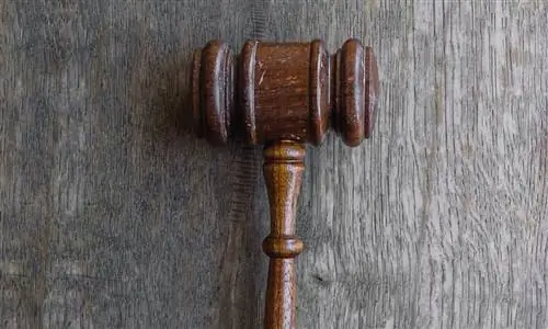 Слон в комнате: рост судебных исков, связанных с искусством