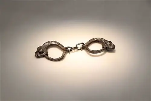 Image Image