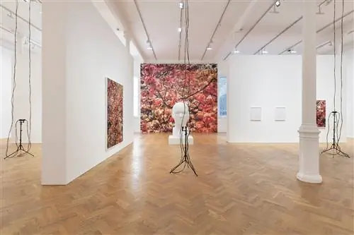 Image Image