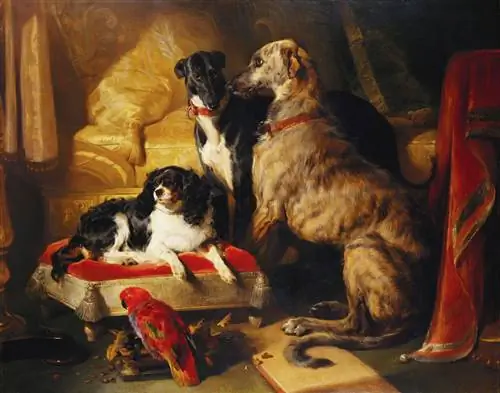 Гектор, Нерон и Дэш с попугаем Лори Эдвина Ландсира (1838 г.) Royal Collection Trust / Гектор, Нерон и Дэш с попугаем Лори Эдвина Ландсира (1838 г.) Royal Collection Trust /
