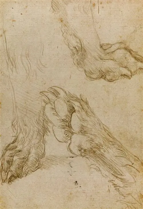 Image Image