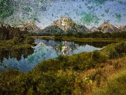 Image Image
