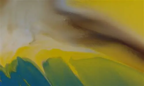 В отличие от Илона Маска, галерея Ora-Ora будет принимать биткойны на Art Basel в Гонконге