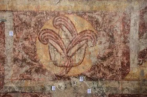 Image Image