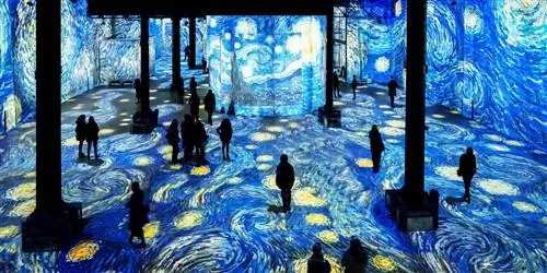 Цифровое арт-пространство Infinity des Lumières открылось в торговом центре Dubai Mall Цифровое арт-пространство Infinity des Lumières открылось в торговом центре Dubai Mall