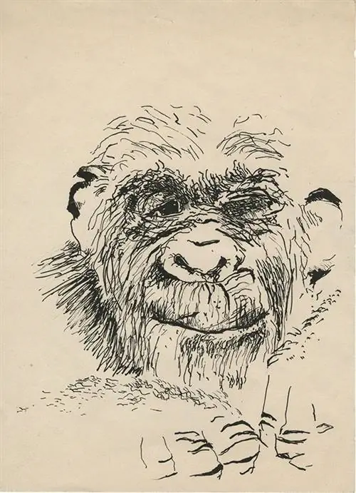 Пол Маккарти, Автопортрет (1963) Тушь на бумаге Пол Маккарти, Автопортрет (1963) Тушь на бумаге