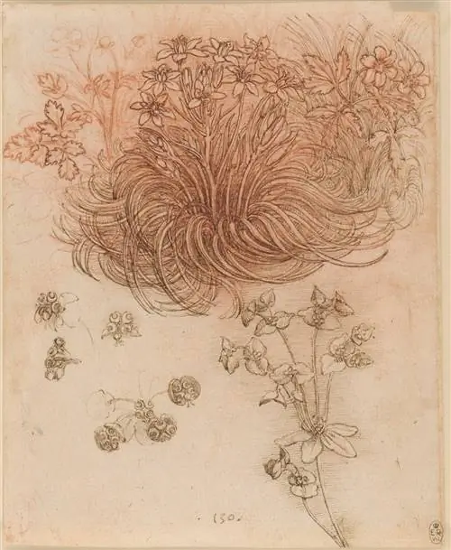 Image Image