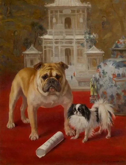 Лучшая собака: картина Фрэнсис К. Фэйрман « Боксерское восстание» (1902 г.) продана на Sotheby's за 50 000 долларов. Лучшая собака: картина Фрэнсис К. Фэйрман « Боксерское восстание» (1902 г.) продана на Sotheby's за 50 000 долларов.