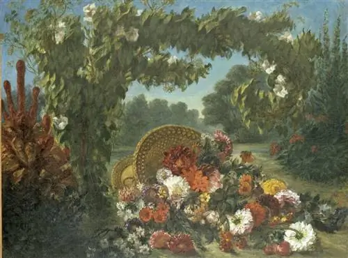 Image Image