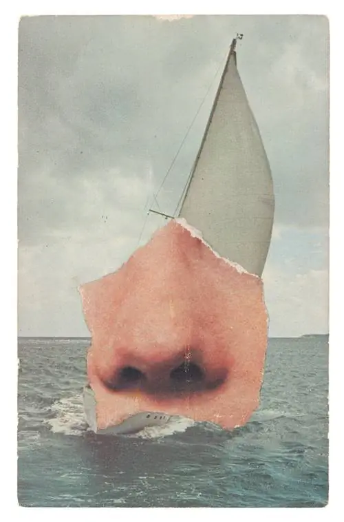 Image Image