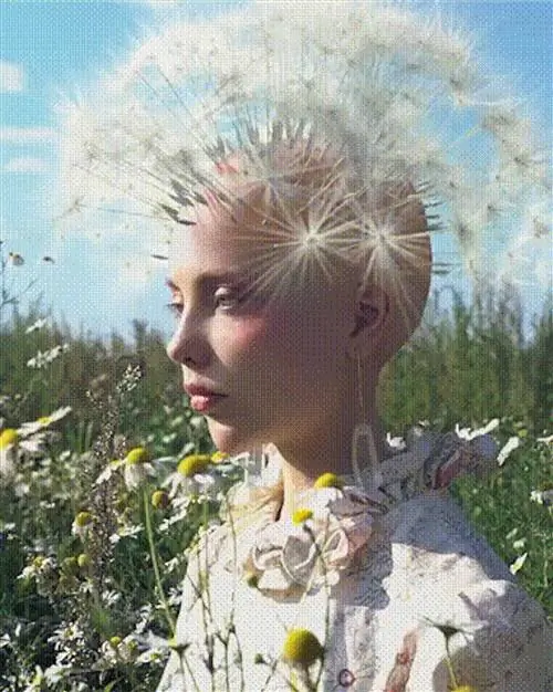 Image Image