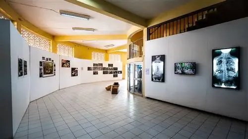 Image Image