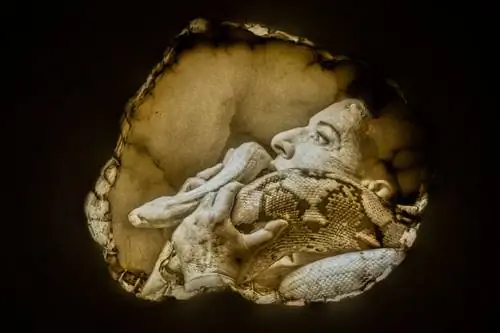 Image Image
