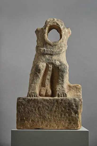 Image Image