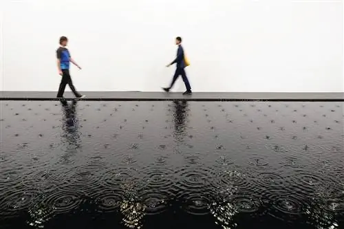 Белу-Симион Файнару, Роза небытия (2015), AT Galeria Plan B Дэвид Оуэнс Белу-Симион Файнару, Роза небытия (2015), AT Galeria Plan B Дэвид Оуэнс