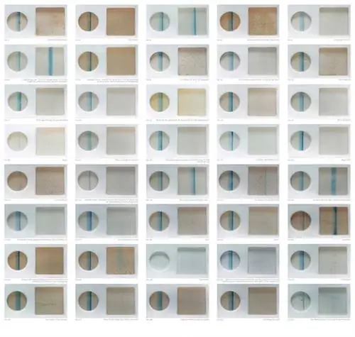 Лив Пеннингтон, Частный просмотр, (2006) Лив Пеннингтон, Частный просмотр, (2006)