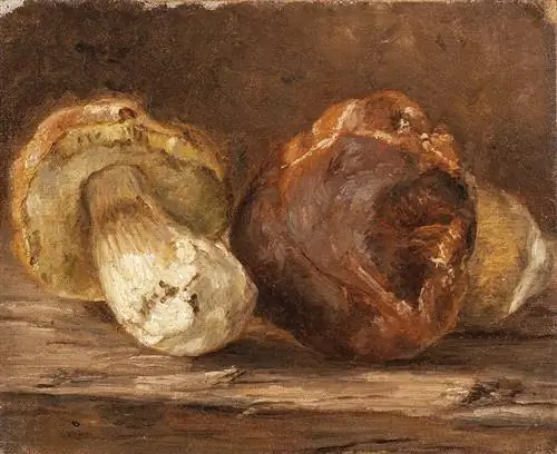 Image Image