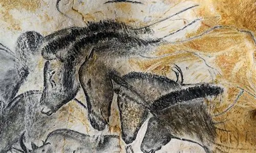 «Историческое» соглашение разрешает спор о пещере Шове (и копии)