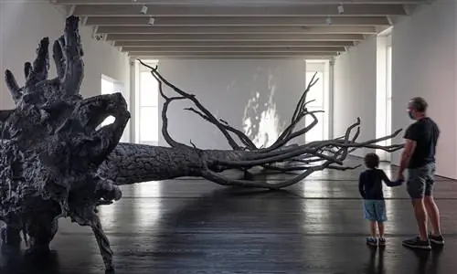 Аллора и Кальсадилья создают «убежище» от ужасов прошлого года в Menil Collection