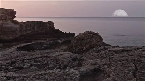 Кадр из фильма "Теория глины" Амалии Смит (2019) Кадр из фильма "Теория глины" Амалии Смит (2019)