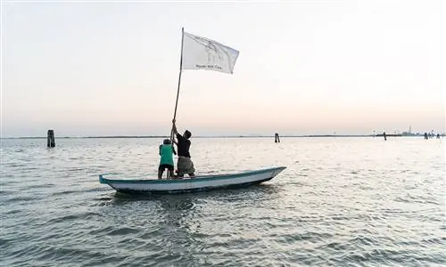 По мере того, как Cop26 подходит к концу, директор ВОЗ пишет в Твиттере об установке флага Агнес Денес в Венецианской лагуне