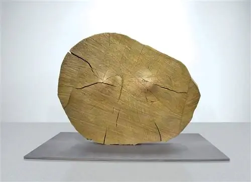 Кики Смит, вс, 2018 г. Кики Смит, вс, 2018 г.