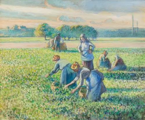Image Image