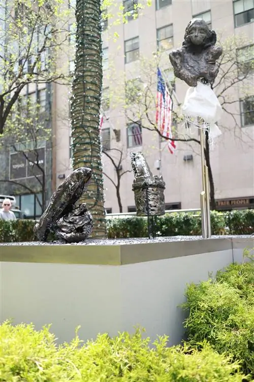 Image Image