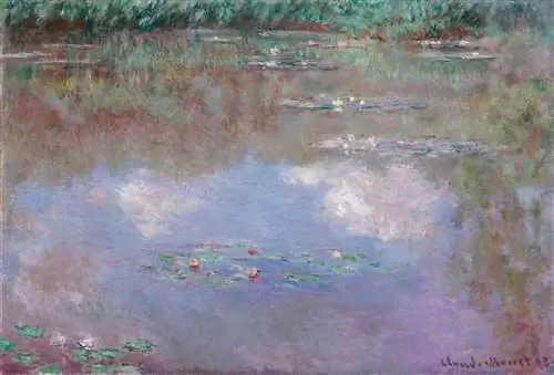 Из коллекции Макдермотта: Клод Моне, «Пруд с водяными лилиями» (1903 г.) Из коллекции Макдермотта: Клод Моне, «Пруд с водяными лилиями» (1903 г.)