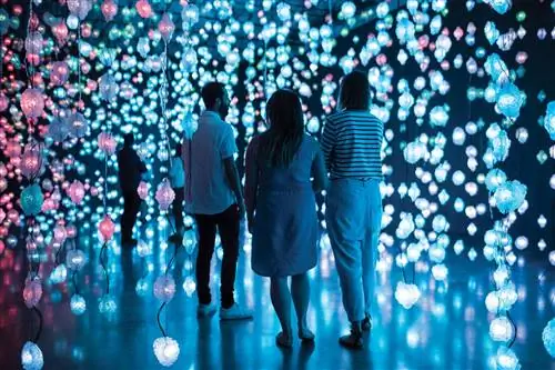 Материнская плата Pipilotti Rist Pixelwald (Pixel Forest Mutterplatte) (2016), часть популярной выставки художника в Музее современного искусства Австралии в 2017-2018 годах. Внизу директор музея Лиз Энн Макгрегор. Материнская плата Pipilotti Rist Pixelwald (Pixel Forest Mutterplatte) (2016), часть популярной выставки художника в Музее современного искусства Австралии в 2017-2018 годах. Внизу директор музея Лиз Энн Макгрегор.