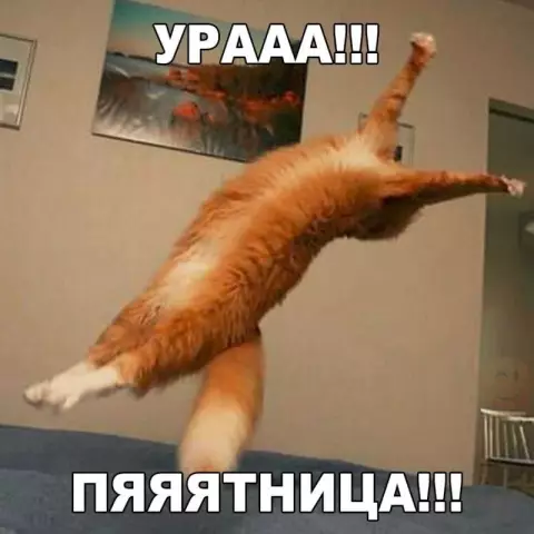 Пятница пятница: лето последнее ура