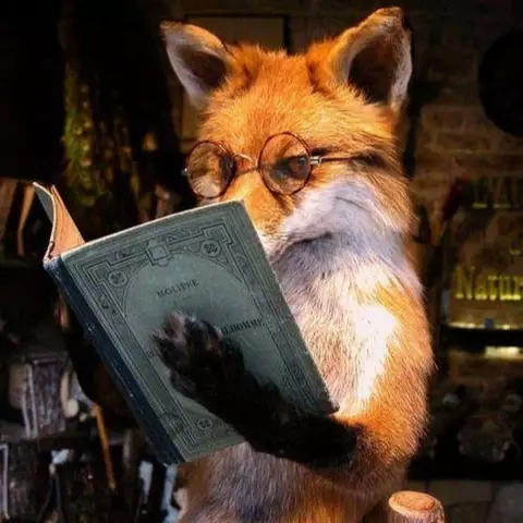 Иллюстрирующие книги с животными персонажами