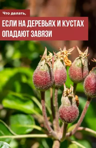 Как рисовать снег на деревьях и кустах