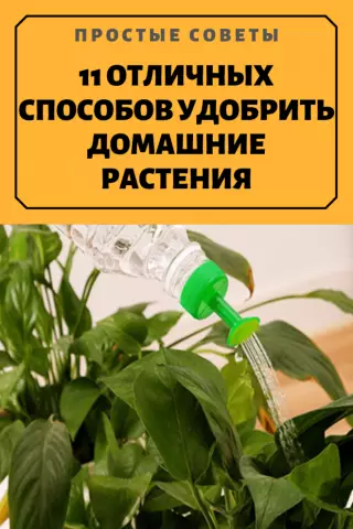 Советы по обледенению травы: 10 способов использования конвейера травы